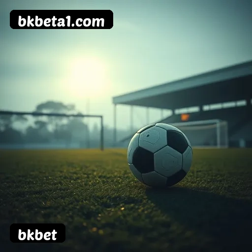 Estatísticas de bônus da bkbet em São Paulo, Rio de Janeiro e Brasília